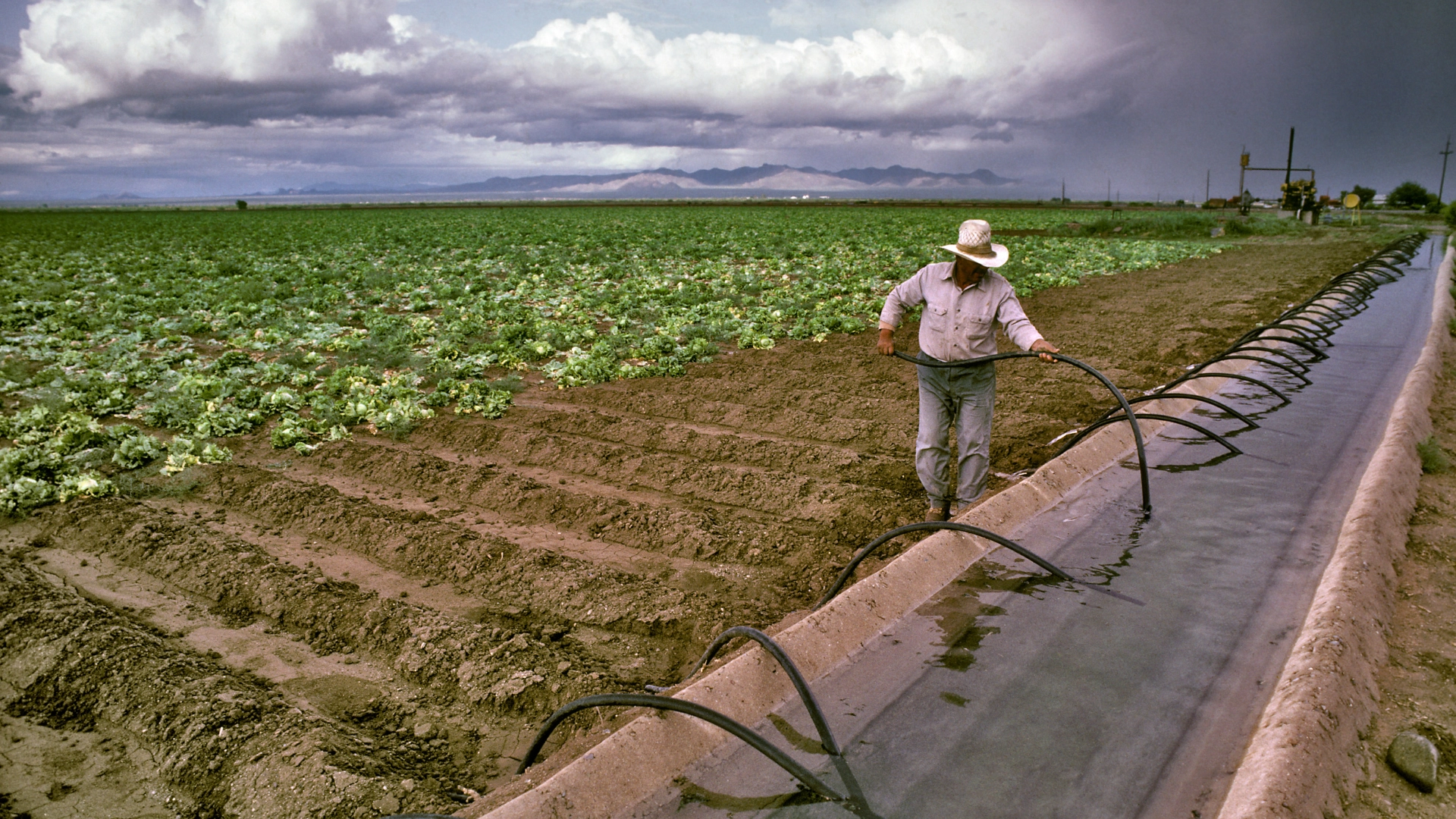 Irrigation
