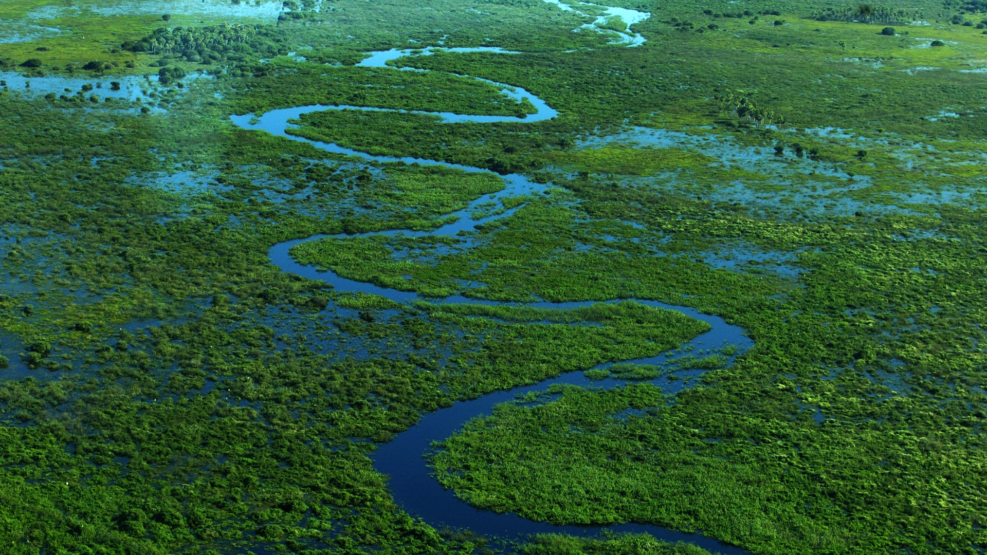 Wetlands